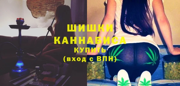 дживик Зеленокумск