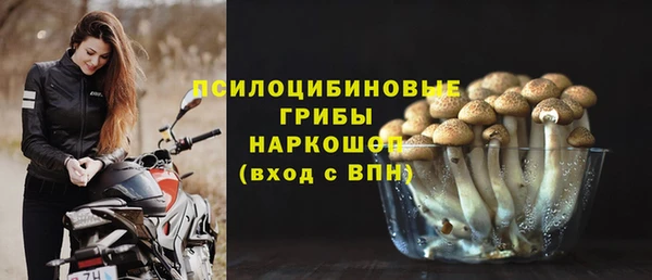 амф Зеленодольск