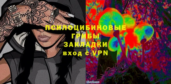дживик Зеленокумск