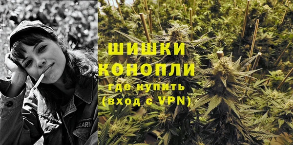 дживик Зеленокумск