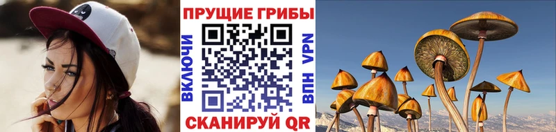 Галлюциногенные грибы GOLDEN TEACHER  купить наркотик  Калач 